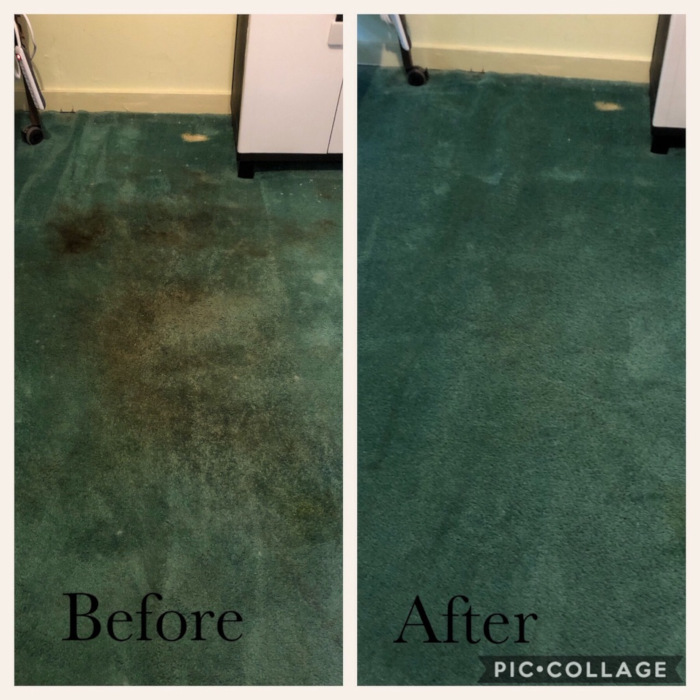 carpet cleaners orangeburg sc