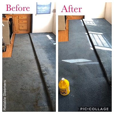 carpet stain removal photo before and after