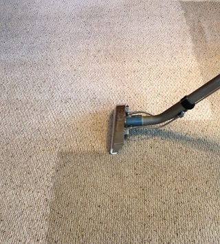 carpet cleaners orangeburg sc