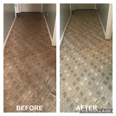 hallway carpet cleaning photo before and after