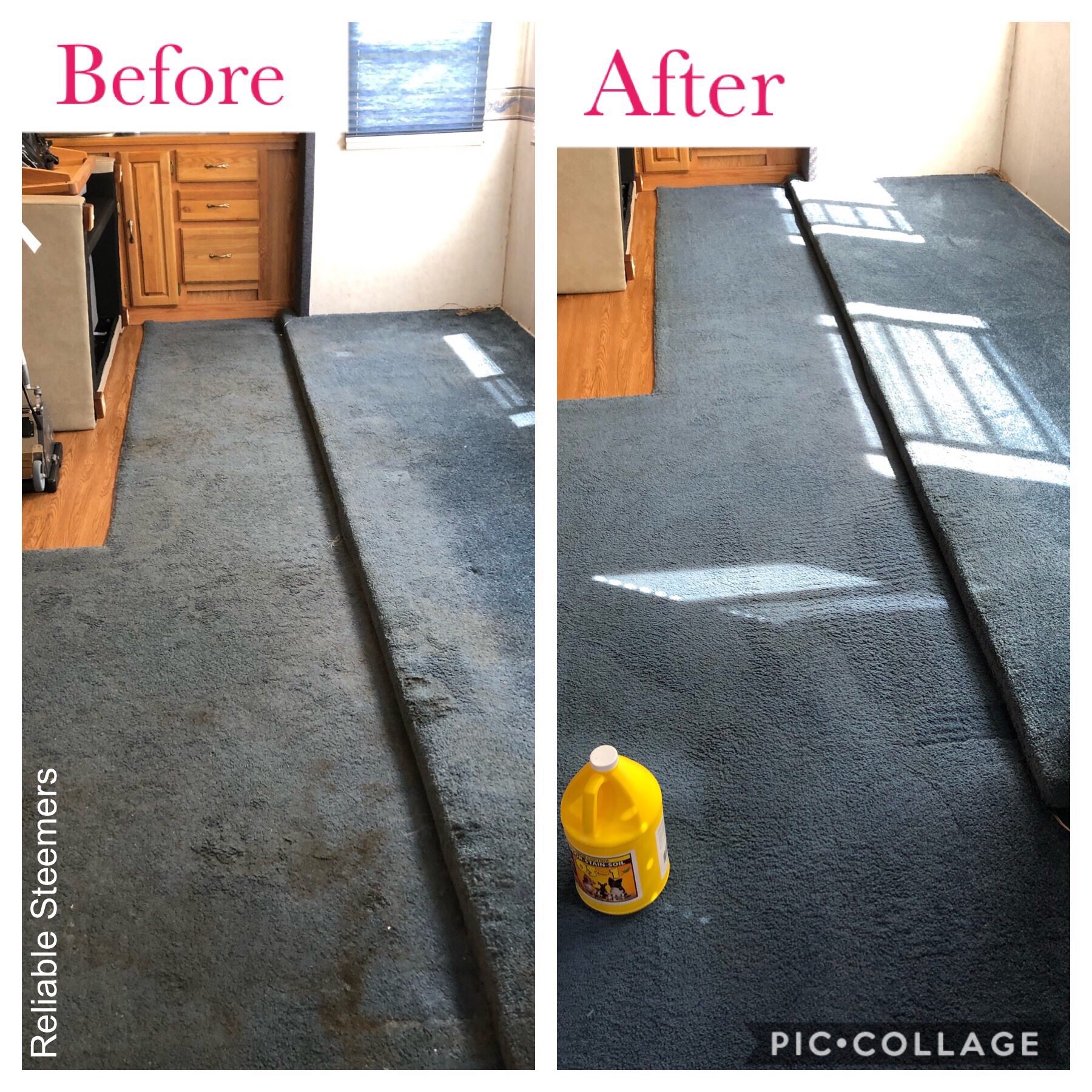 carpet cleaners orangeburg sc