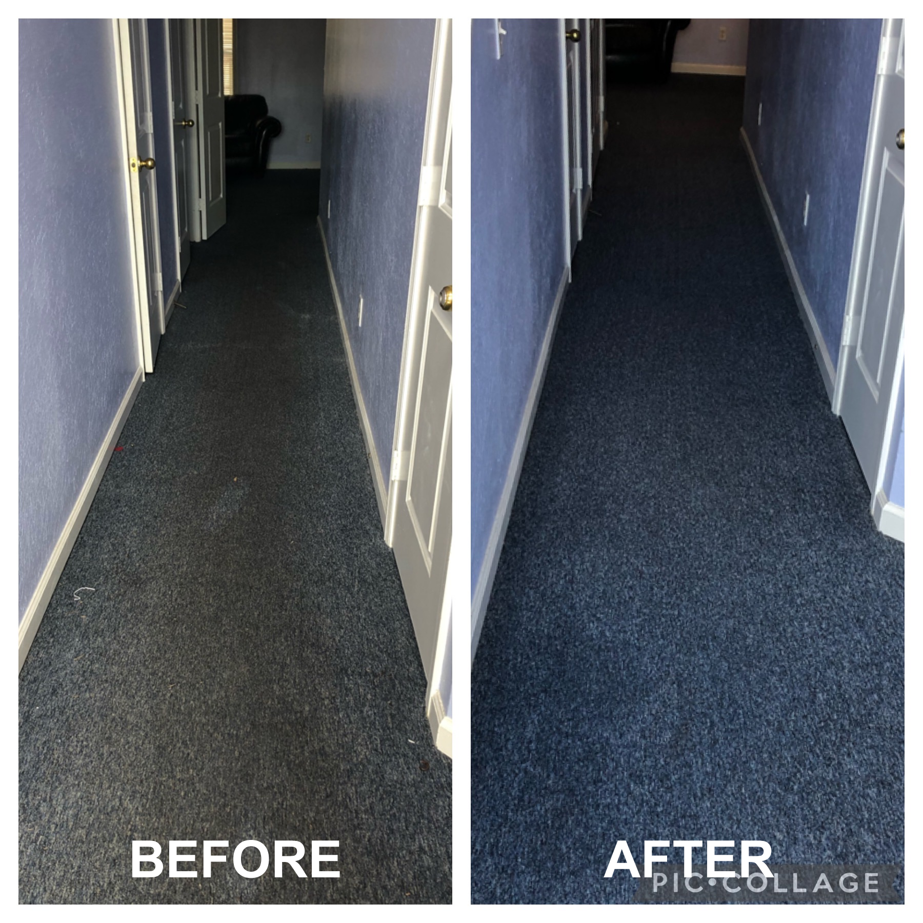 carpet cleaners santee sc